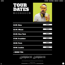 Music Artist 2 Google Sites template preview