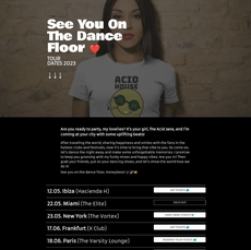 DJ Website Google Sites template preview